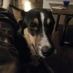 Meet your Posher, Jeff